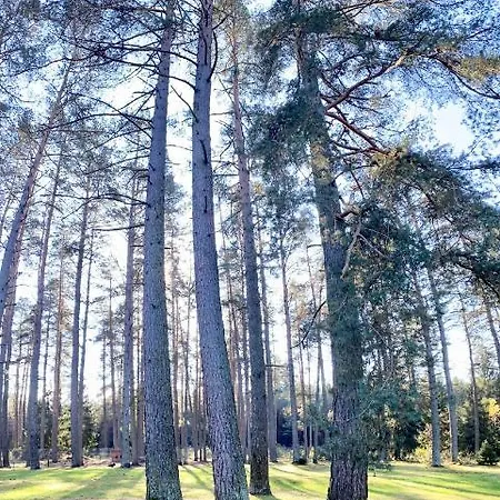 Rojaus Slenis Villa Druskininkai Exterior photo