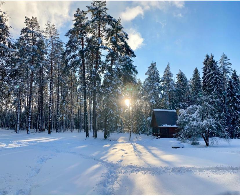 Rojaus Slenis * Druskininkai