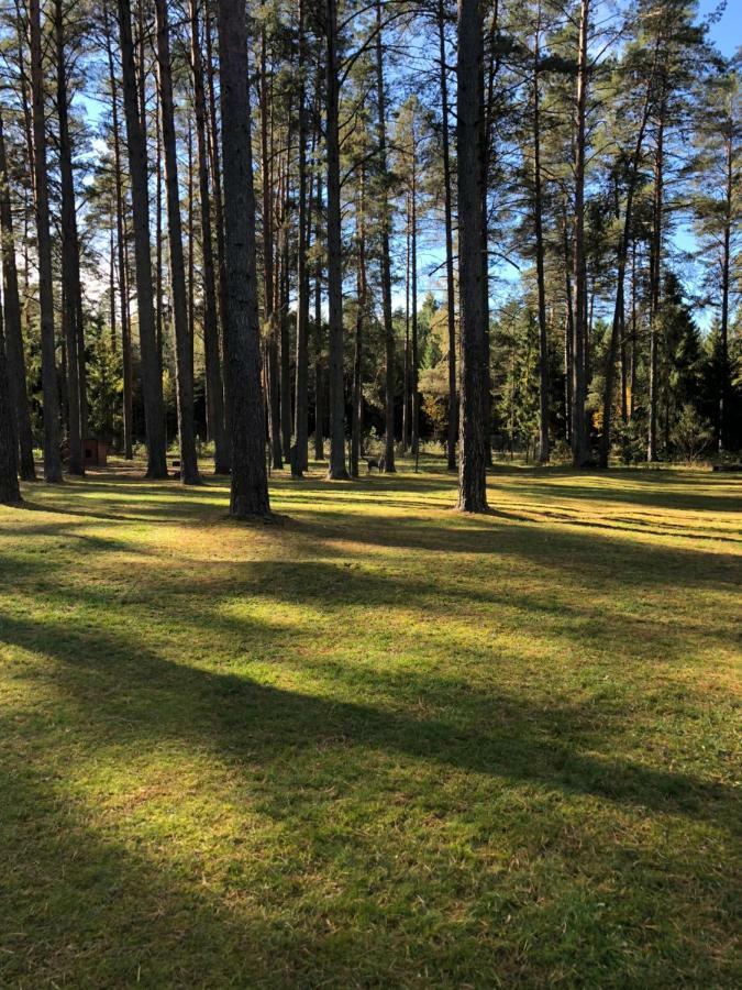 Rojaus Slenis Druskininkai
