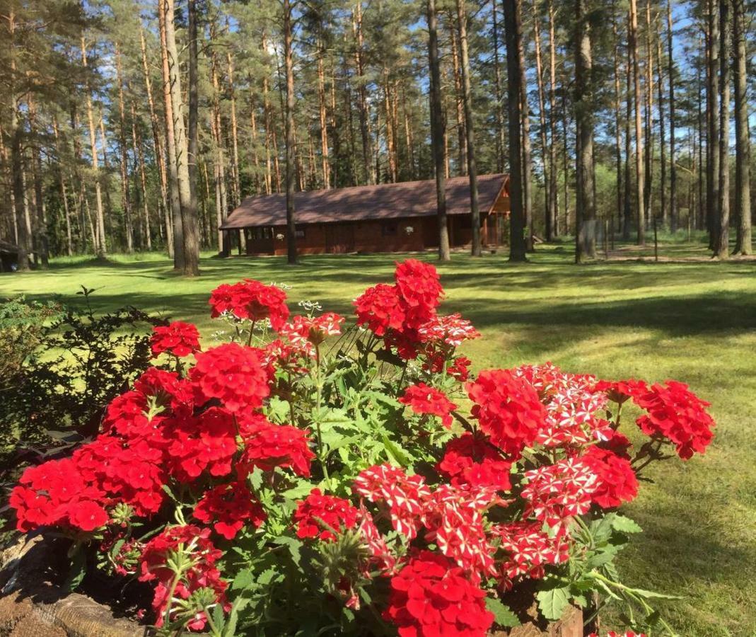 Rojaus Slenis *